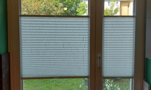 Cortina & DUETTE® Plissee 249