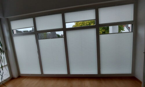 Cortina & DUETTE® Plissee 233