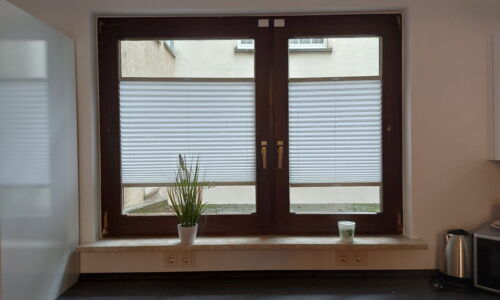 Cortina & DUETTE® Plissee 232