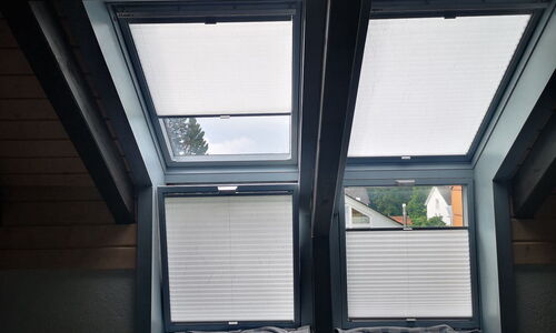 Cortina, Velux, Plissee, Schwalbach