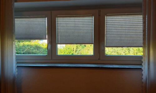 Cortina & DUETTE® Plissee 240
